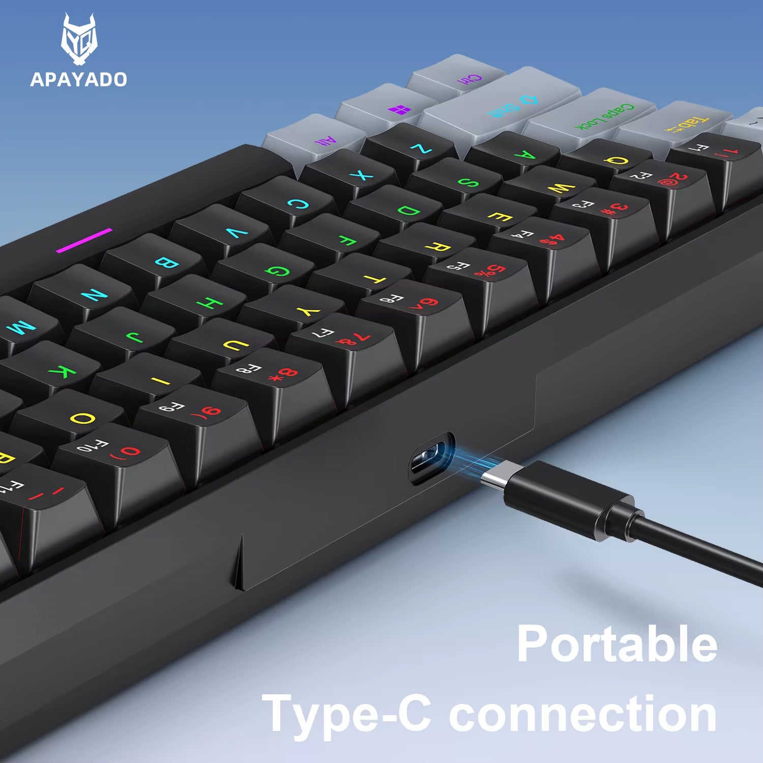 K61 Mini Mechanical Keyboard,Wired,61 Keys,Phantom RGB, Black/White Red/Blue Mechanical Switch for Gaming,60% Portable